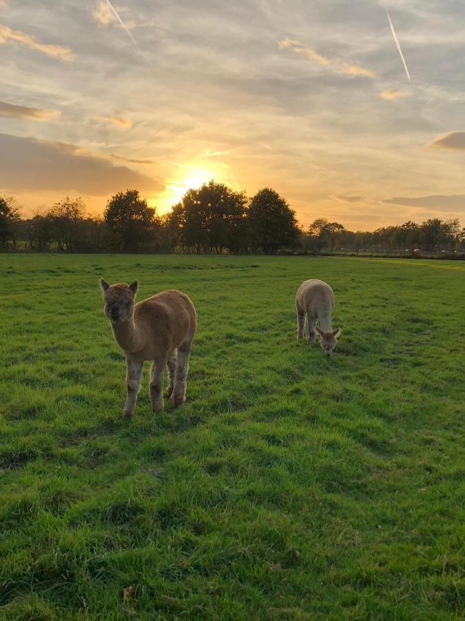 Bed and breakfast Grutsk Op 12 Drachten